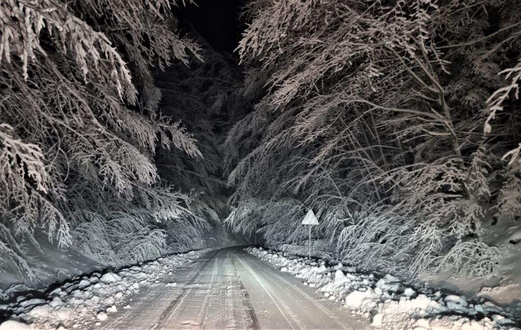 Monte_Amiata_Strada_Quaranta_20211209