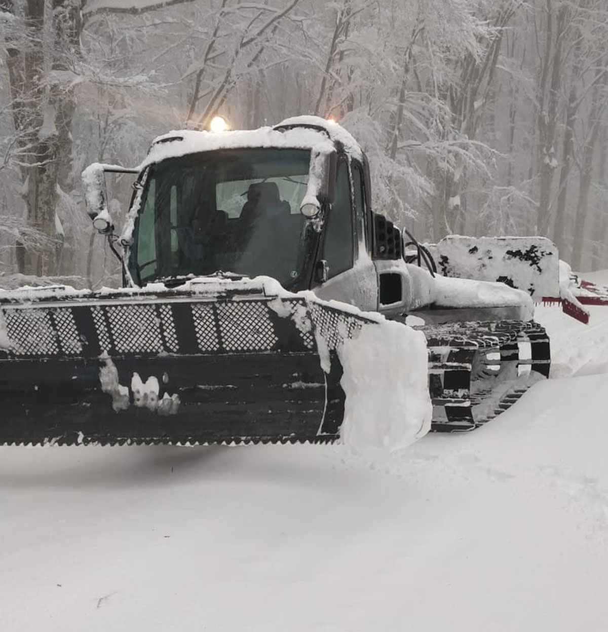 aggiornamento11dic2021